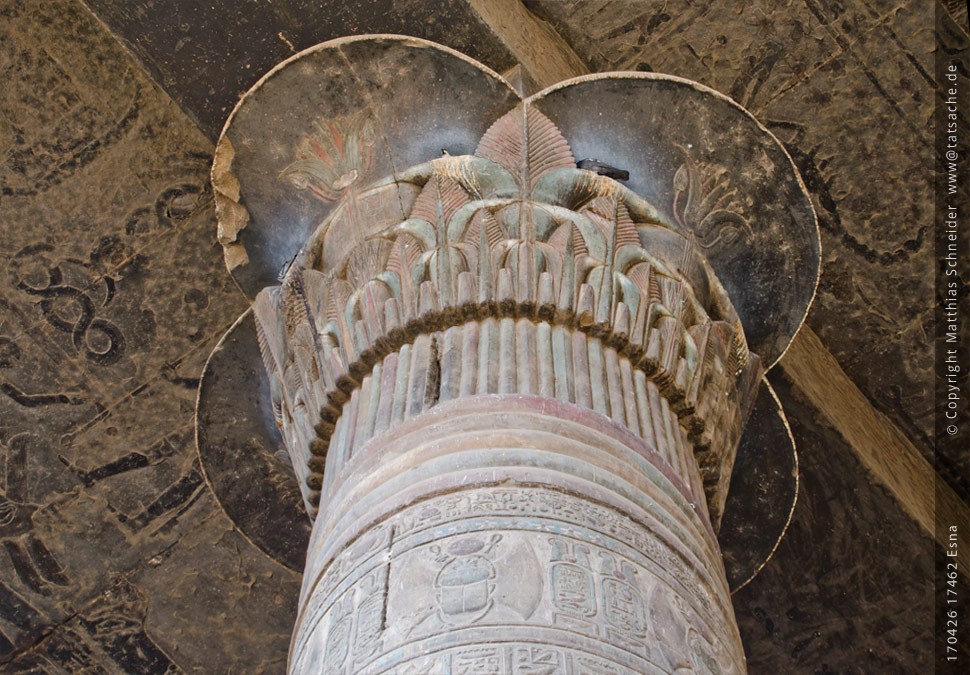 Fotografie (c) Matthias_Schneider Ägypten 170426_17462_Esna_Kapitell Fotografie (c) Matthias_Schneider Ägypten 17462_Esna_Kapitell