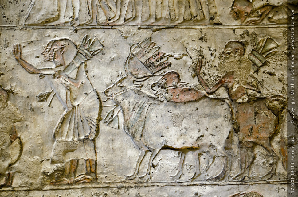 Fotografie (c) Matthias_Schneider Ägypten 170501_18119_Felsengrab Relief - Streitwagen Fotografie (c) Matthias_Schneider Ägypten 170501_18119_Felsengrab Relief