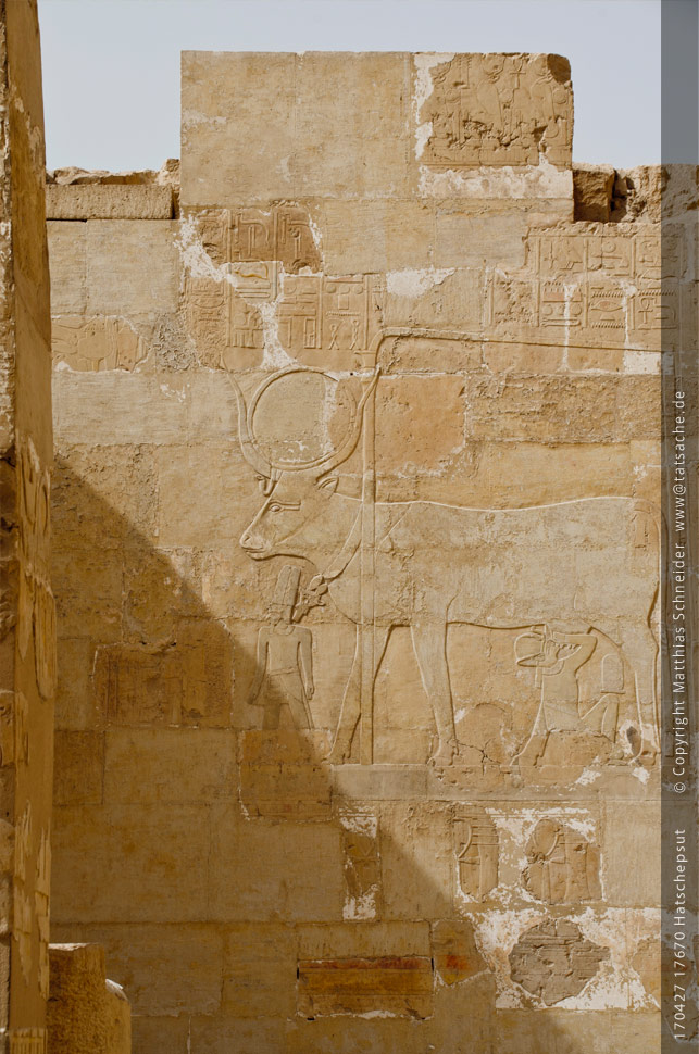 Fotografie (c) Matthias_Schneider Ägypten 170427_17670_Hatschepsut_Milchtrinker Fotografie (c) Matthias_Schneider Ägypten 170427_17670_Hatschepsut_Milchtrinker