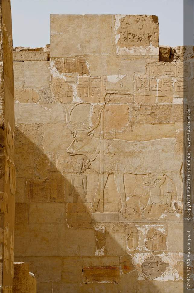 Fotografie (c) Matthias_Schneider Ägypten 170427_17670_Hatschepsut_Milchtrinker