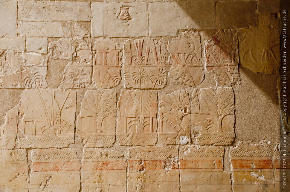 Fotografie (c) Matthias_Schneider Ägypten 170427_17676_Hatschepsut_Palmen Fotografie (c) Matthias_Schneider Ägypten 170427_17676_Hatschepsut_Palmen