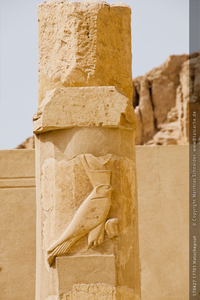 Fotografie (c) Matthias_Schneider Ägypten 170427_17701_Hatschepsut_Saeule Fotografie (c) Matthias_Schneider Ägypten 170427_17701_Hatschepsut_Saeule