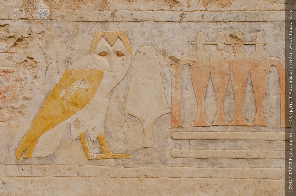 Fotografie (c) Matthias_Schneider Ägypten 170427_17702_Hatschepsut_M_Eule_Farbe