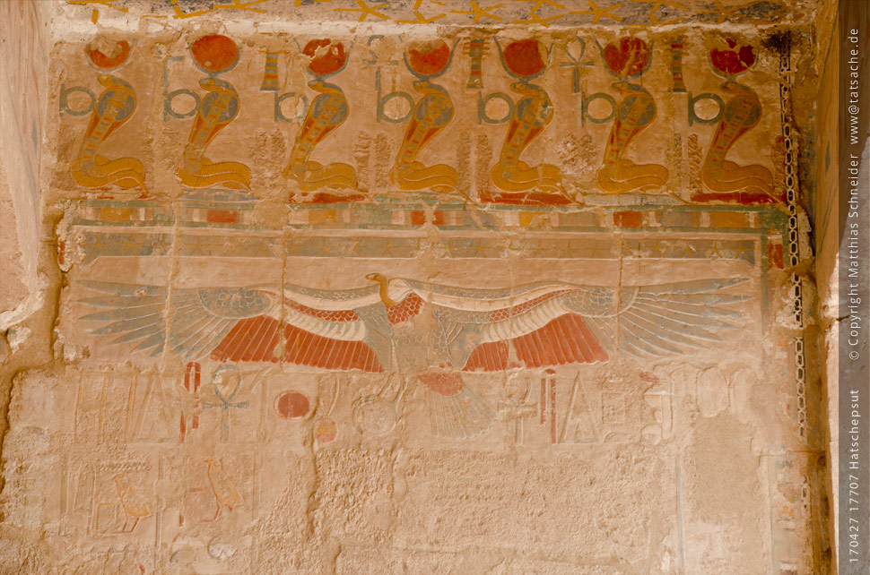 Fotografie (c) Matthias_Schneider Ägypten 170427_17707_Hatschepsut_Geier_Farbe