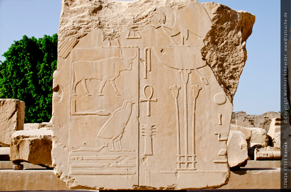 Fotografie (c) Matthias_Schneider Ägypten 170426_17531_Karnak Fotografie (c) Matthias_Schneider Ägypten 170426_17531_Karnak