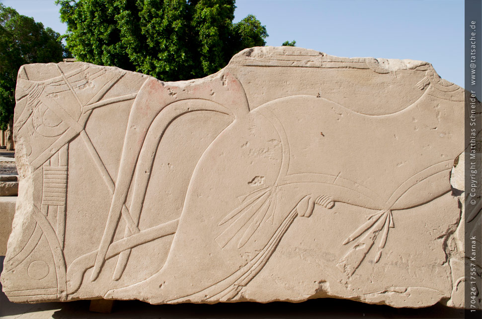 Fotografie (c) Matthias_Schneider Ägypten 170426_17557_Karnak