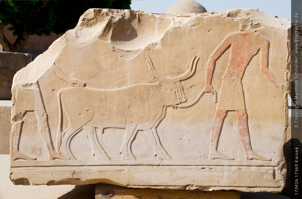 Fotografie (c) Matthias_Schneider Ägypten 170426_17560_Karnak Fotografie (c) Matthias_Schneider Ägypten 170426_17560_Karnak