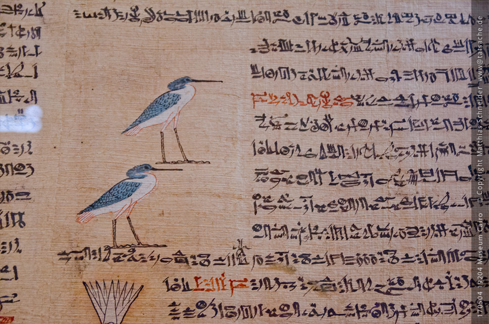 Fotografie (c) Matthias_Schneider Ägypten 170504_19179_Museum_Cairo_Papyrus_Voegel