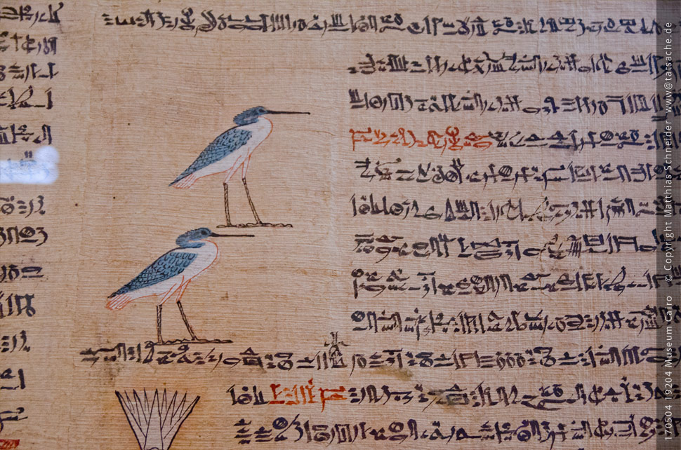 Fotografie (c) Matthias_Schneider Ägypten 170504_19179_Museum_Cairo_Papyrus_Voegel Fotografie (c) Matthias_Schneider Ägypten 170504_19179_Museum_Cairo_Papyrus_Voegel
