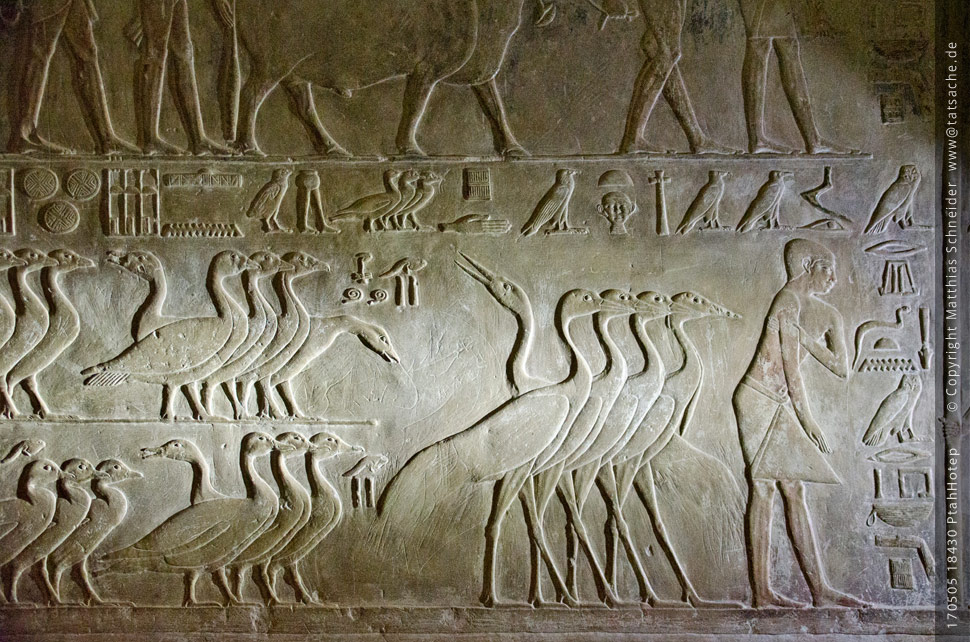 otografie (c) Matthias_Schneider Ägypten 170505_18430_Ptah_Hotep Fotografie (c) Matthias_Schneider Ägypten 170505_18430_Ptah_Hotep