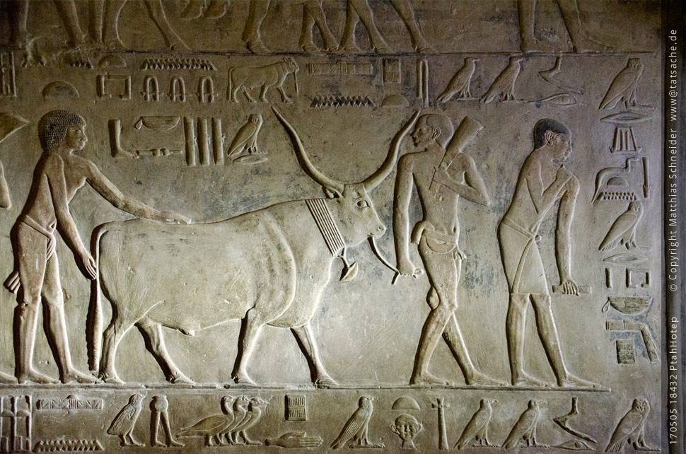 otografie (c) Matthias_Schneider Ägypten 170505_18432_Ptah_Hotep Fotografie (c) Matthias_Schneider Ägypten 170505_18432_Ptah_Hotep