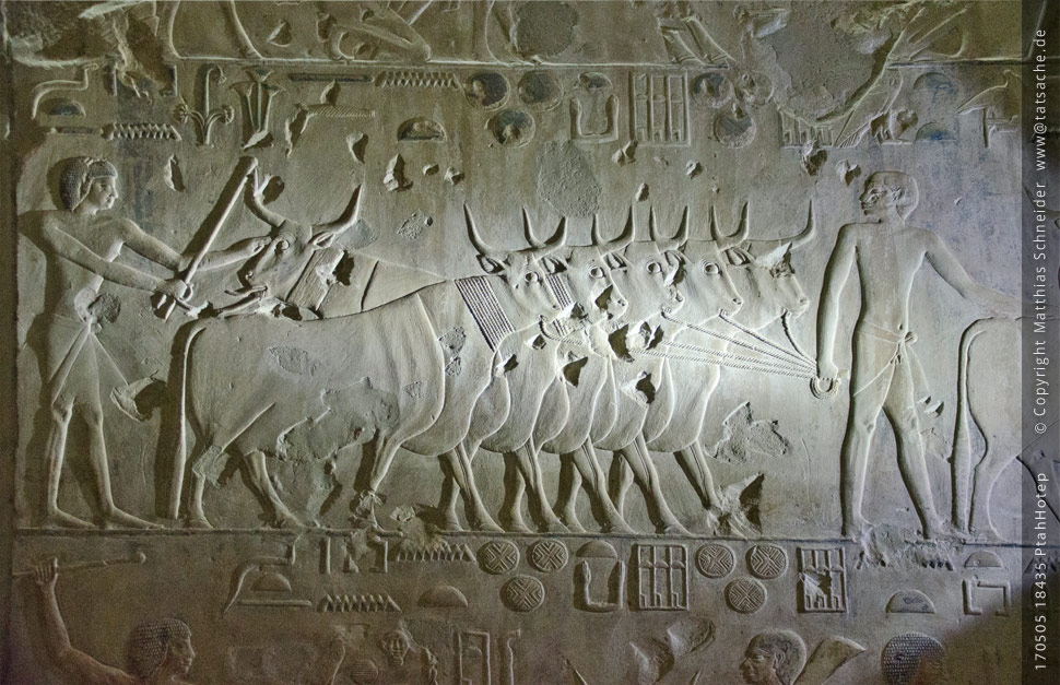 otografie (c) Matthias_Schneider Ägypten 170505_18435_Ptah_Hotep Fotografie (c) Matthias_Schneider Ägypten 170505_18435_Ptah_Hotep