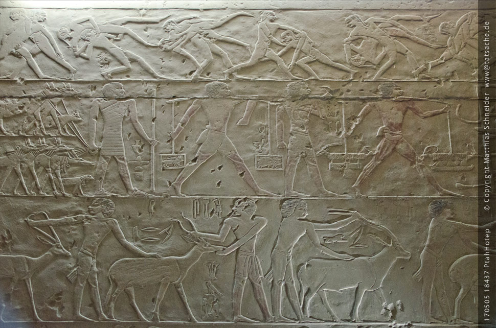 otografie (c) Matthias_Schneider Ägypten 170505_18437_Ptah_Hotep Fotografie (c) Matthias_Schneider Ägypten 170505_18437_Ptah_Hotep