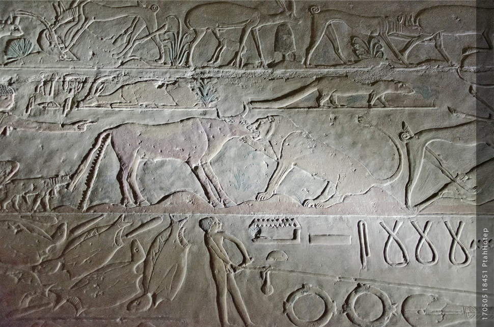 otografie (c) Matthias_Schneider Ägypten 170505_18451_Ptah_Hotep Fotografie (c) Matthias_Schneider Ägypten 170505_18451_Ptah_Hotep