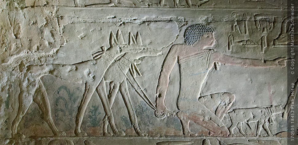otografie (c) Matthias_Schneider Ägypten 170505_18451_Ptah_Hotep Fotografie (c) Matthias_Schneider Ägypten 170505_18451_Ptah_Hotep