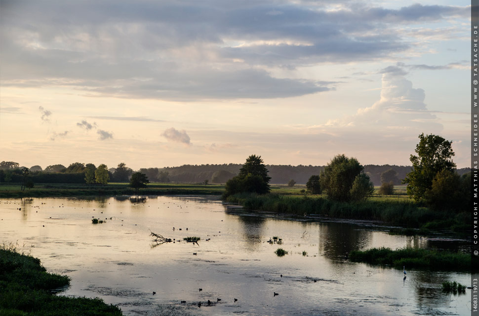 Fotografie Matthias Schneider – Die Löcknitz in Brandenburg