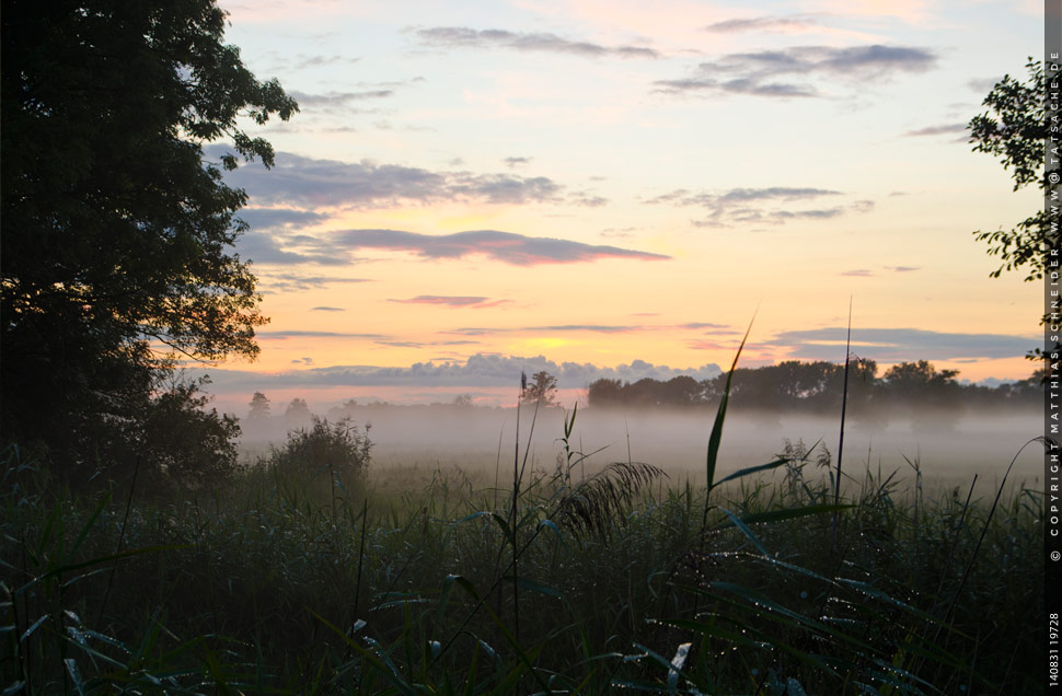 Fotografie Matthias Schneider – Sonnenuntergang in den Elbauen