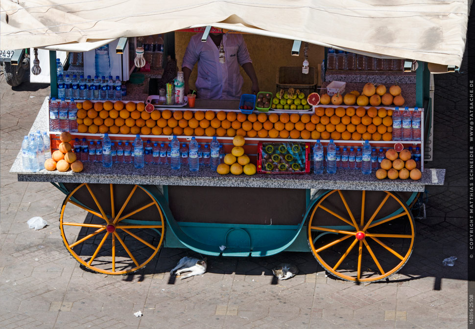 Fotografie Matthias Schneider 160316 25108 Marrakesch Djemaa el Fna Orangen Katzen