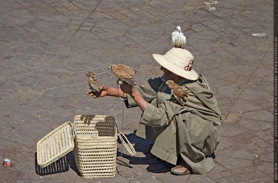 Fotografie Matthias Schneider 160316 25126 Marrakesch Schausteller auf Djemaa el Fna