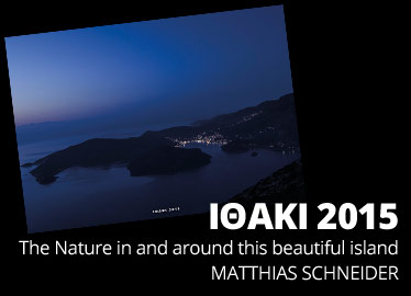 Kalender ITHAKA 2015 Matthias Schneider – Vathi vor Sonnenaufgang