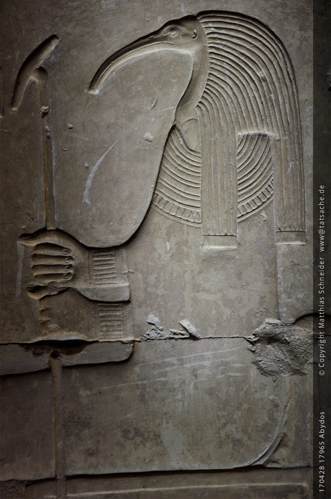 Fotografie (c) Matthias_Schneider Ägypten 170428_17965_Abydos_Thoth