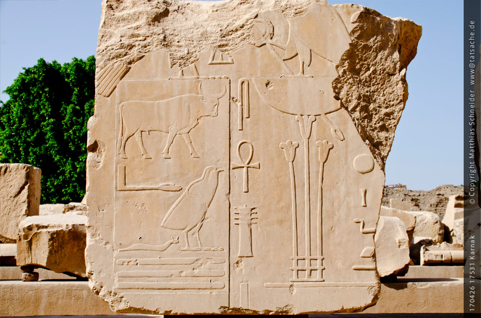 Fotografie (c) Matthias_Schneider Ägypten 170426_17531_Karnak
