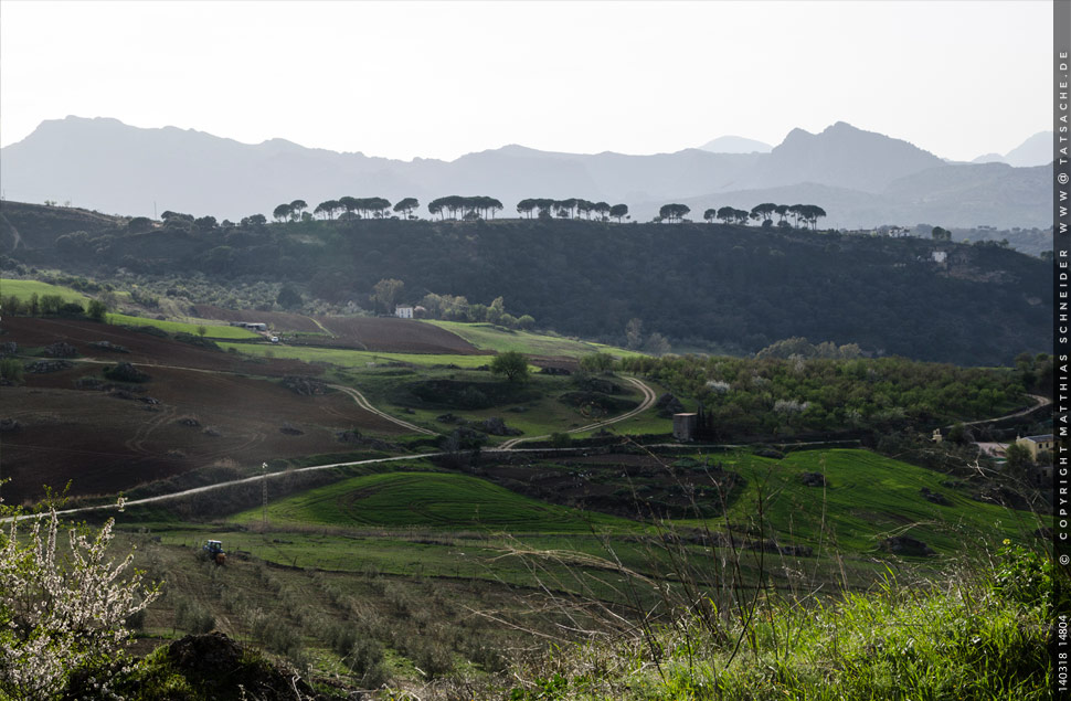 Fotografie Matthias Schneider – Blick von Ronda in die Landschaft